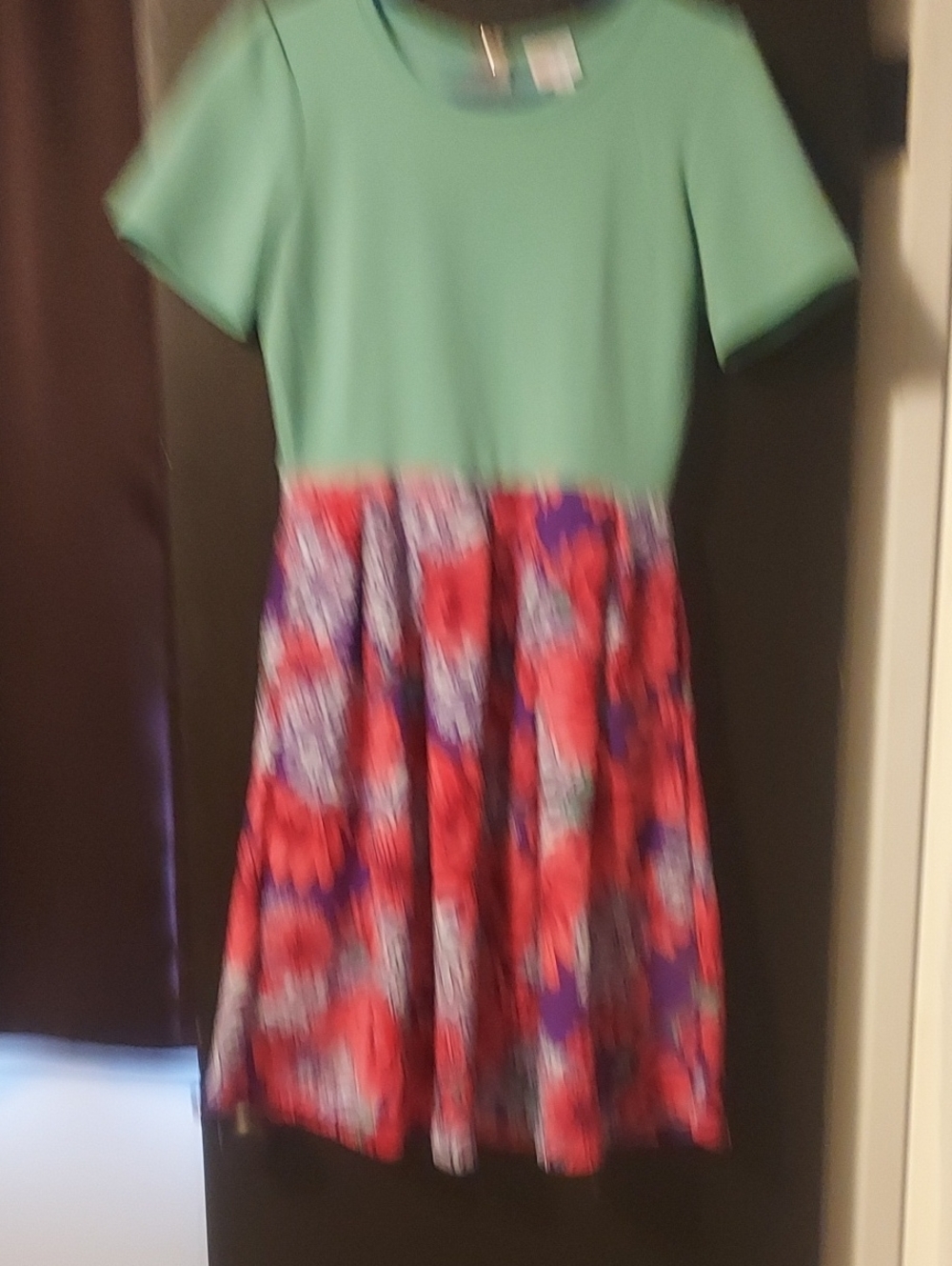 LuLaRoe Mint Green Top with Red Floral Skirt Dress